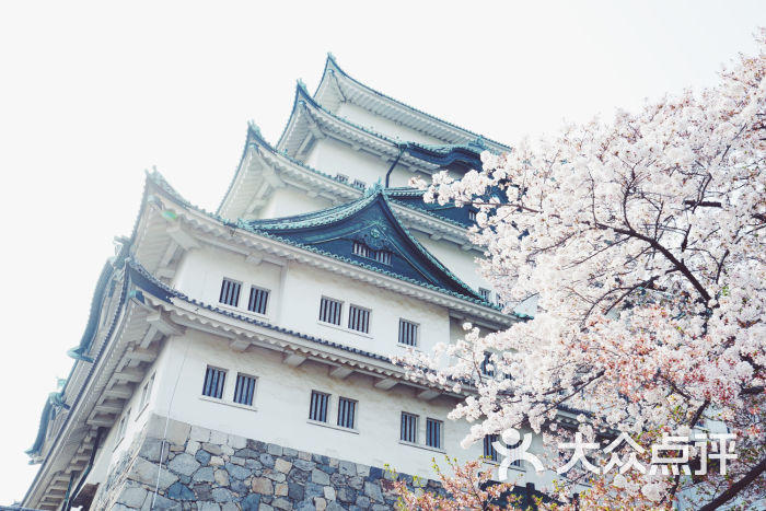 名古屋城-圖片-名古屋景點玩樂-大眾點評網