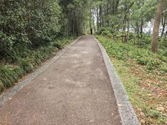 -美兰湖景区