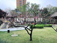 -碑林公园