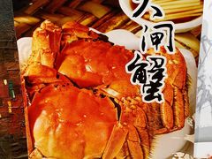 大堂-金枝玉叶上海人家食府(三里河店)