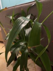 -香秀空间科技抗衰·美容中心