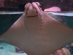 -沈阳海洋探索中心