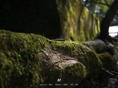 -西溪南古村落