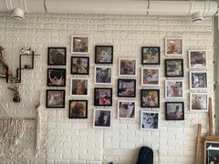 -平行世界·猫咖(首经贸店)