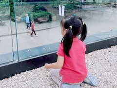 -J Create城市露营咖啡·简餐·宠物(上海动物园店)