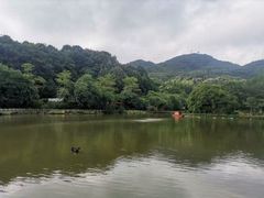 -广州市帽峰山景区