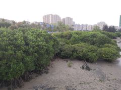 -霞山观海长廊
