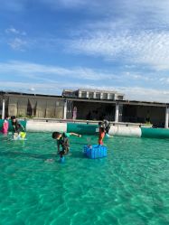 -小蜜蜂农场(凯德七宝购物广场店)