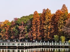 -东湖听涛景区
