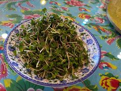 -闯关东东北农家菜(崂山石老人店)