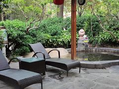 -西安国际创新人才交流中心•药浴温泉