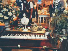 -猫咪博物馆(顶澳仔猫街店)