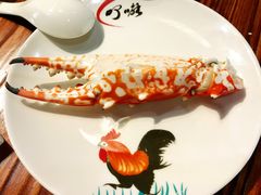 -顺德了能馆(虎门店)