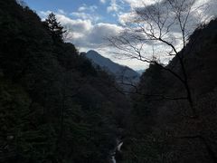 -朱雀国家森林公园
