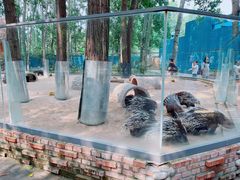 -北京野生动物园