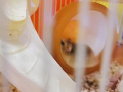 -解个谜沉浸剧情密室(天河店)