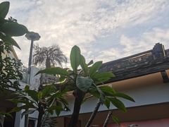 -菌林天下·野生菌汤锅