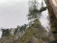 -杭州黄龙洞