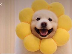 -小川洋风料理(武商MALL店)