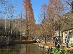 -白水寺森林公园