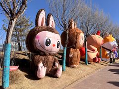 -青藏高原野生动物园