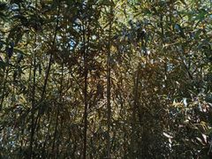 -中国翰园碑林