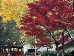 -岳麓山风景名胜区