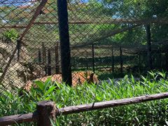 -海南热带野生动植物园