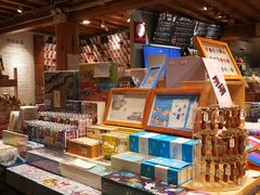 -猫的天空之城概念书店(丽江古城饮玉巷店)