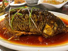 -津菜宋记老房子(鼓楼店)