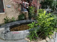 -兴芮温泉度假区