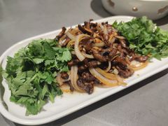 炒鳝鱼丝-燕春楼(海河华鼎店)