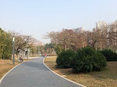 -四海公园(南山区)