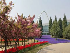 -石家庄市植物园