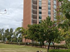 -香港大学