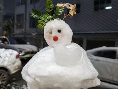 -豆子家