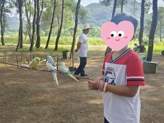 -Club Med地中海俱乐部·桂林度假村