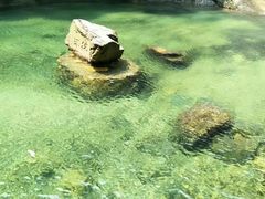 -鼎湖山风景区
