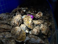 -千家粗粮王(MOMOPARK店)