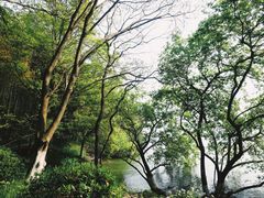 -天目湖山水园