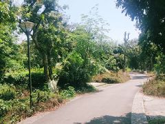 -张坝桂圆林公园
