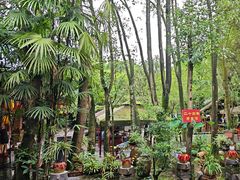 -土砂锅生态山庄·非遗砂锅雅鱼