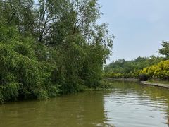 -大湾区中央湿地公园