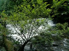 android_upload_pic-石台牯牛降景区