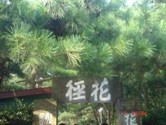 -庐山风景区花径公园