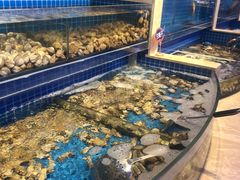 水产区-乔哥铭洋海鲜自助(皇城恒隆广场店)