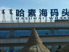 -哈素海