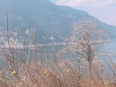 -石砭峪水库