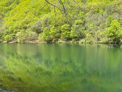 -龙道沟景区