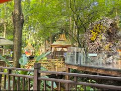 -二荆条·蜀鲜汇城市森林火锅